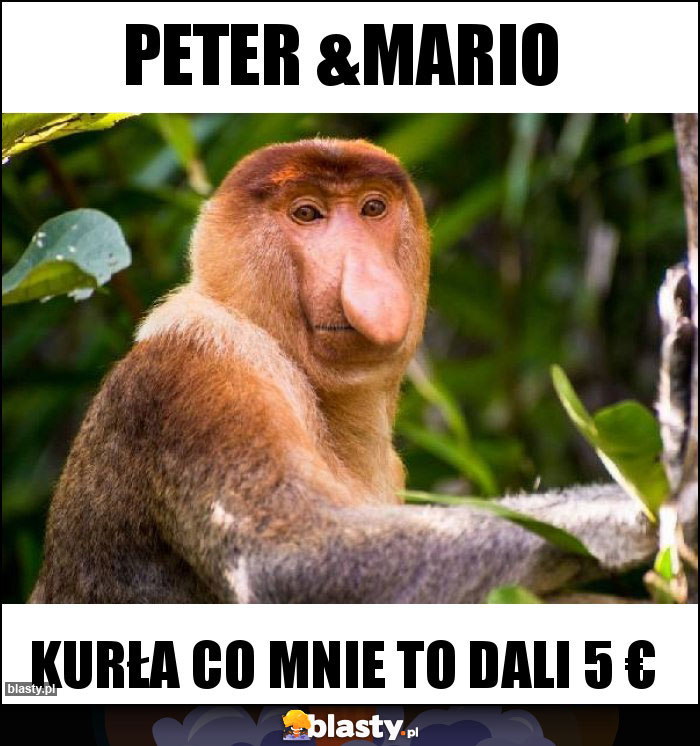 PETER &MARIO