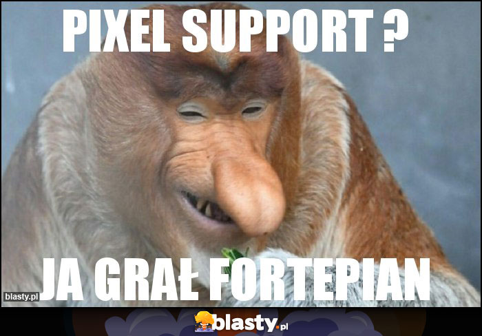 Pixel support ?