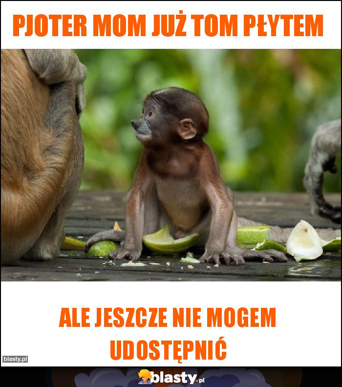 Pjoter mom już tom płytem