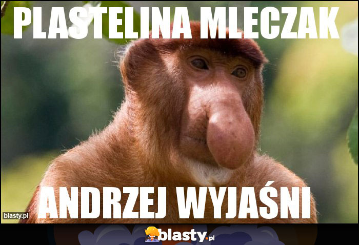 plastelina mleczak