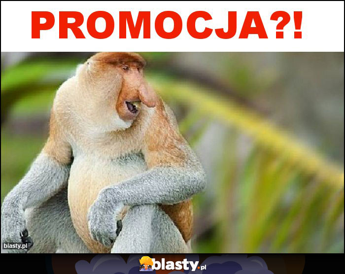 PROMOCJA?!