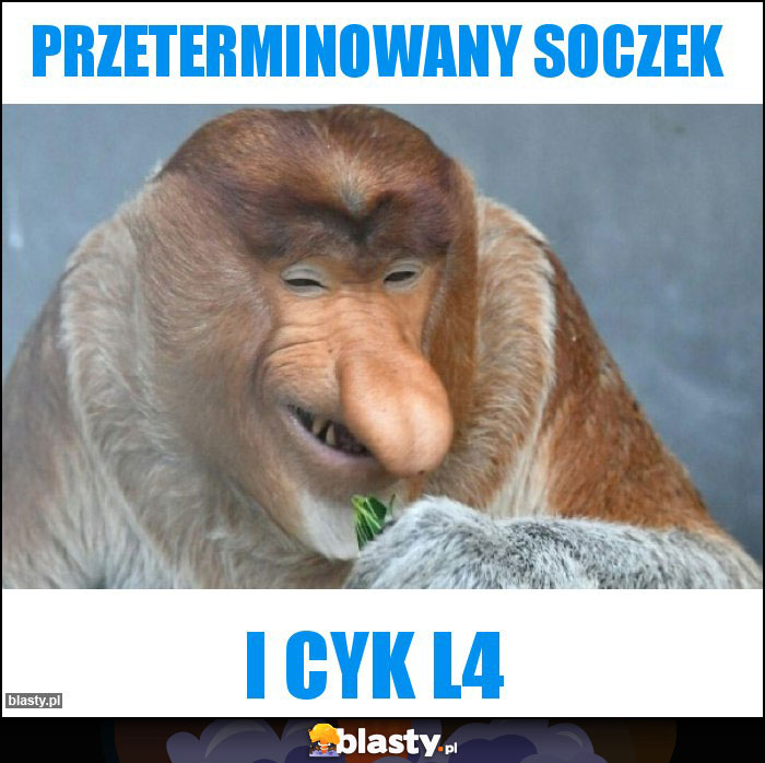 PRZETERMINOWANY SOCZEK