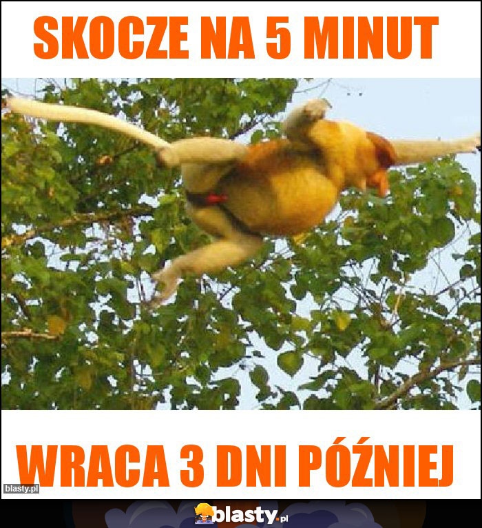 skocze na 5 minut