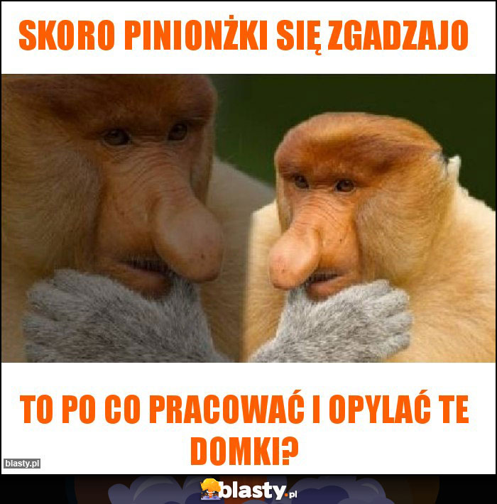 skoro pinionżki się zgadzajo