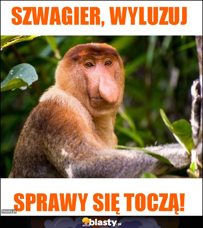 Szwagier, wyluzuj