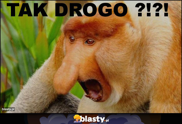 TAK DROGO ?!?!