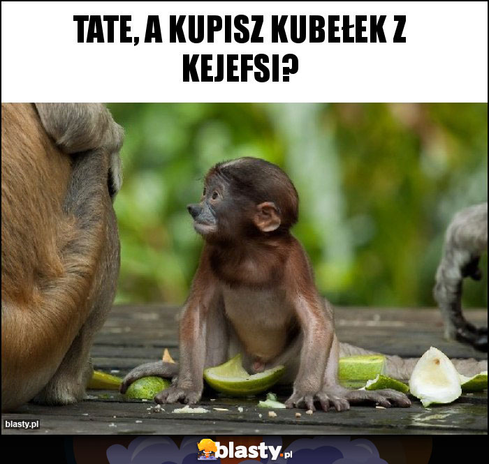 Tate, a kupisz kubełek z kejefsi?