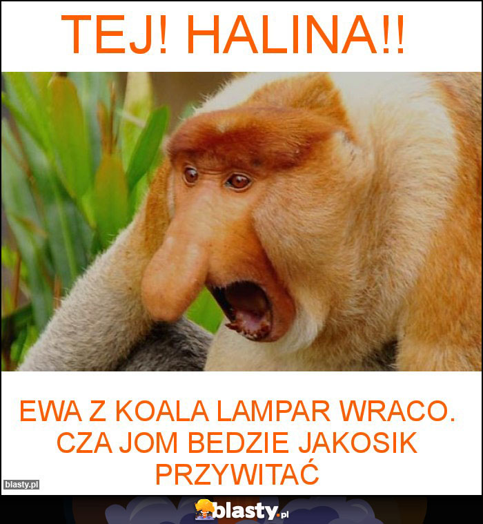 Tej! Halina!!