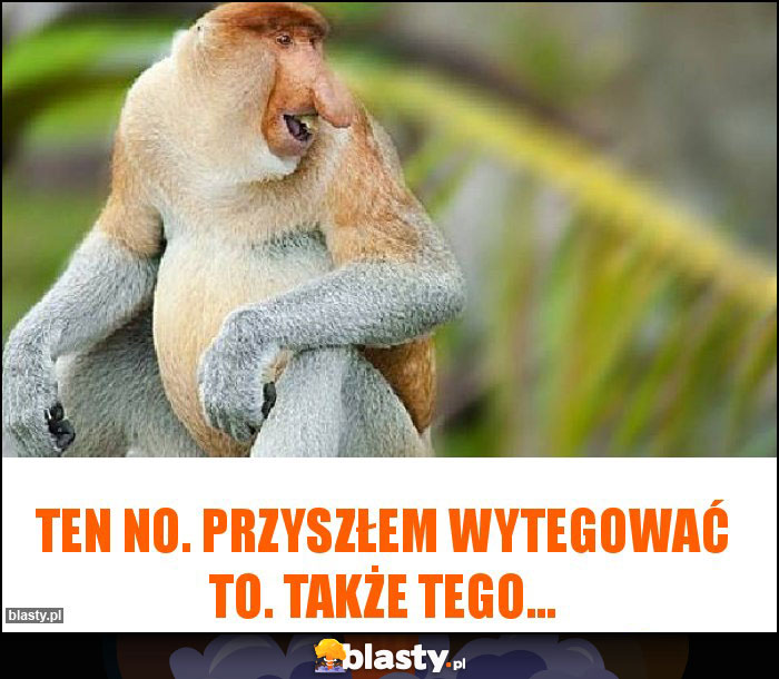 Ten no. Przyszłem wytegować to. Także tego...