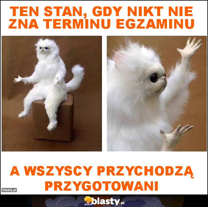 Ten stan, gdy nikt nie zna terminu egzaminu