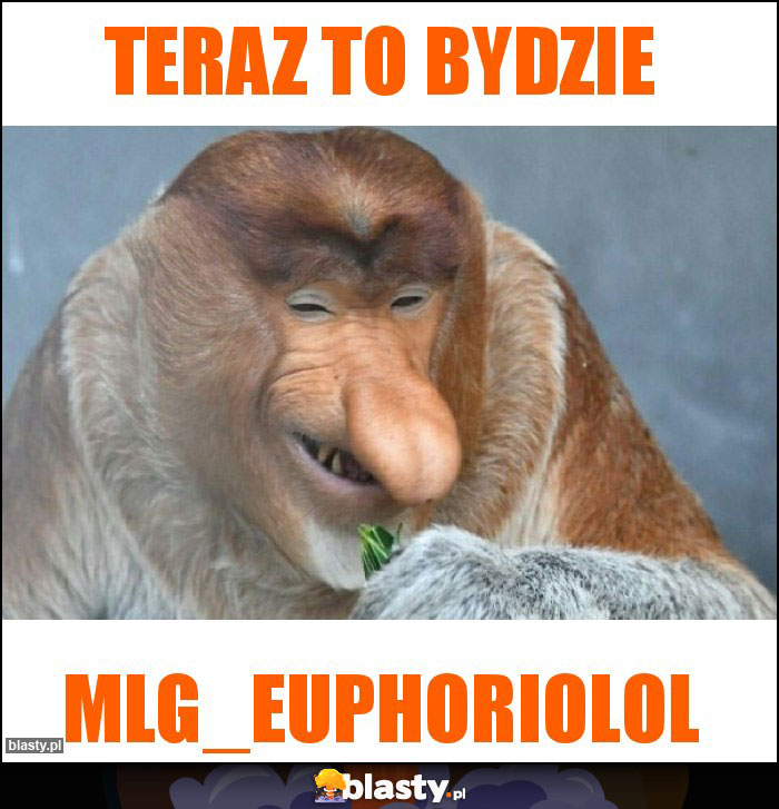 Teraz to bydzie