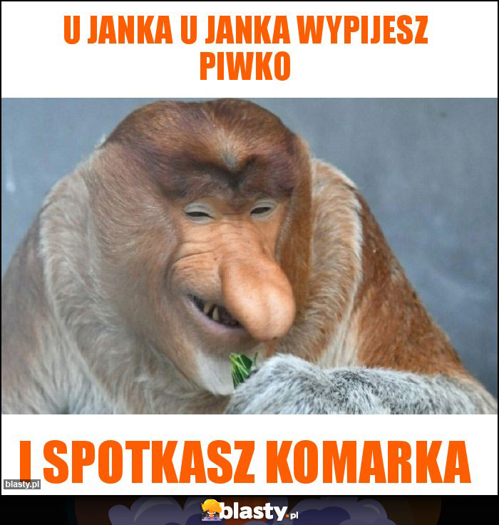 U Janka u janka wypijesz piwko