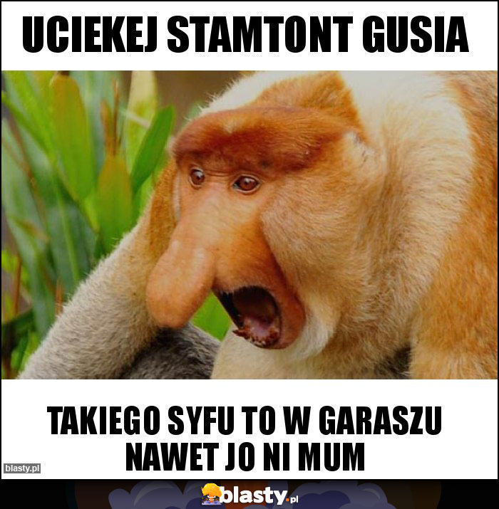 Uciekej stamtont Gusia