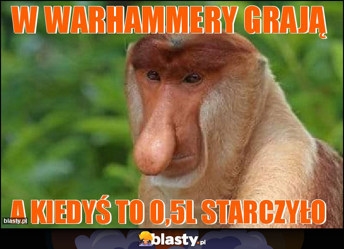 W Warhammery grają