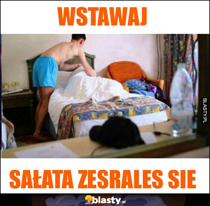 wstawaj