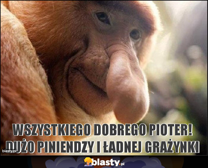 Wszystkiego dobrego Pioter! Dużo piniendzy i ładnej Grażynki