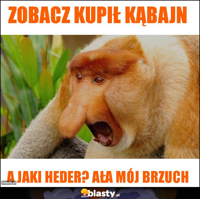 Zobacz kupił kąbajn