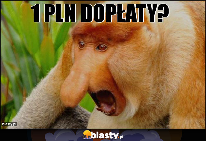 1 PLN dopłaty?