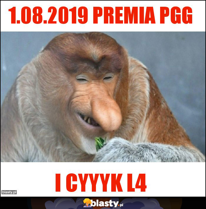 1.08.2019 Premia pgg