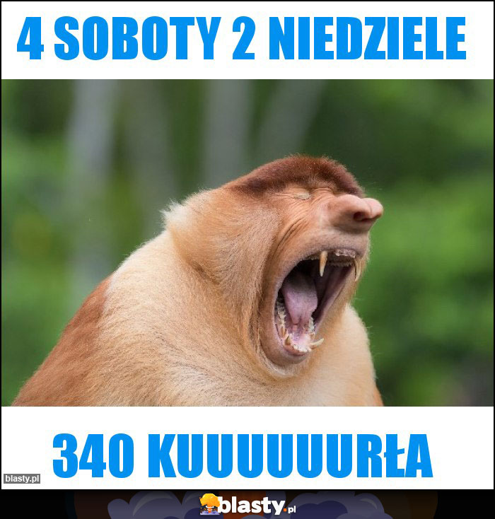 4 soboty 2 niedziele