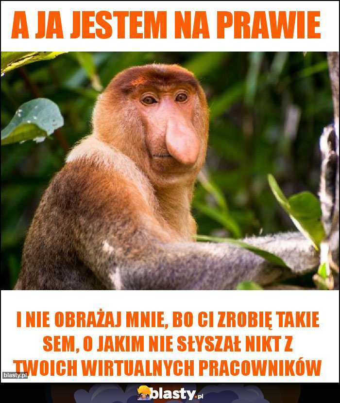 A ja jestem na prawie