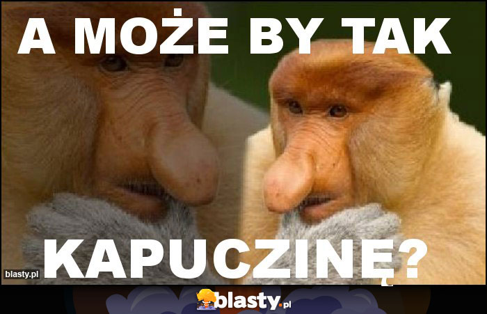 A może by tak