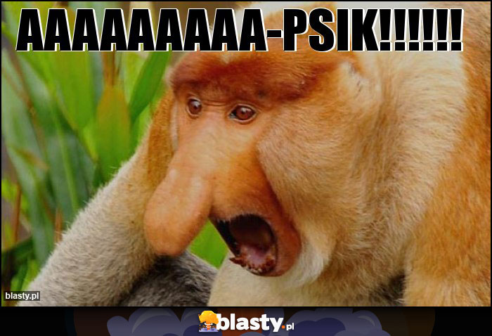 AAAAAAAAA-PSIK!!!!!!