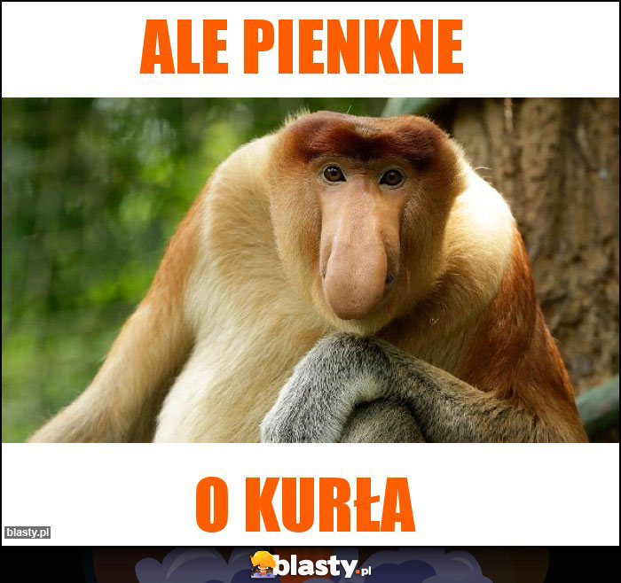 ALE PIENKNE