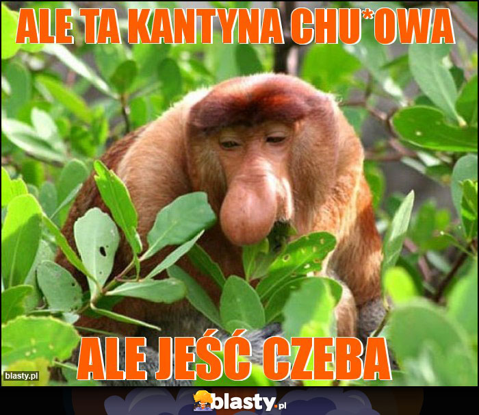 Ale ta kantyna chu*owa