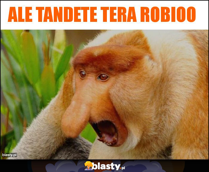 Ale tandete tera robioo