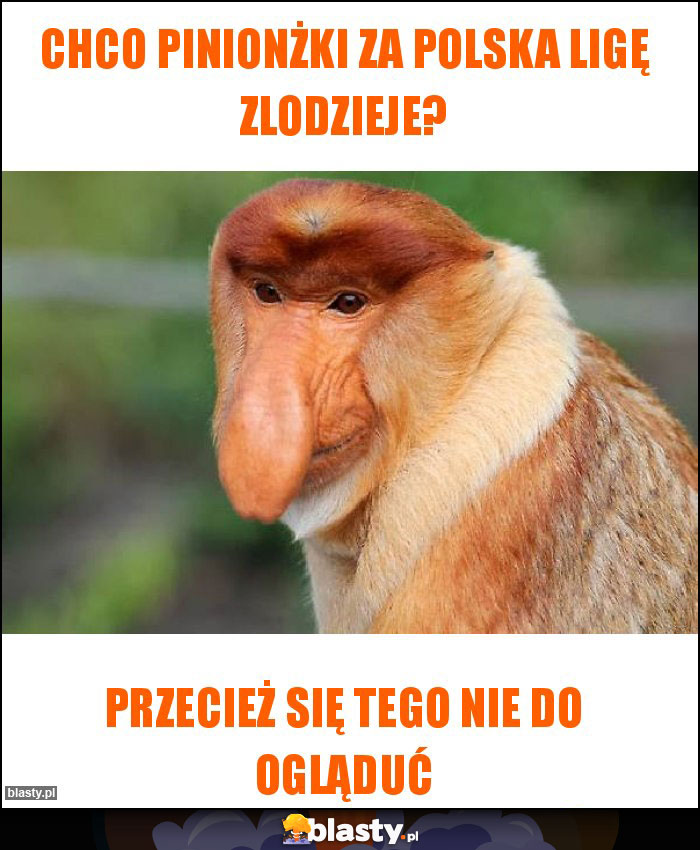 Chco pinionżki za Polska ligę zlodzieje?