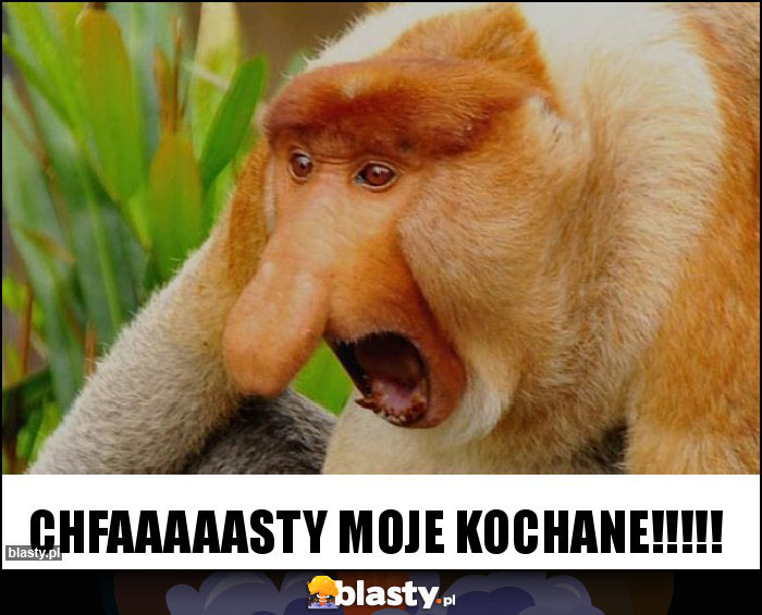 Chfaaaaasty moje kochane!!!!!