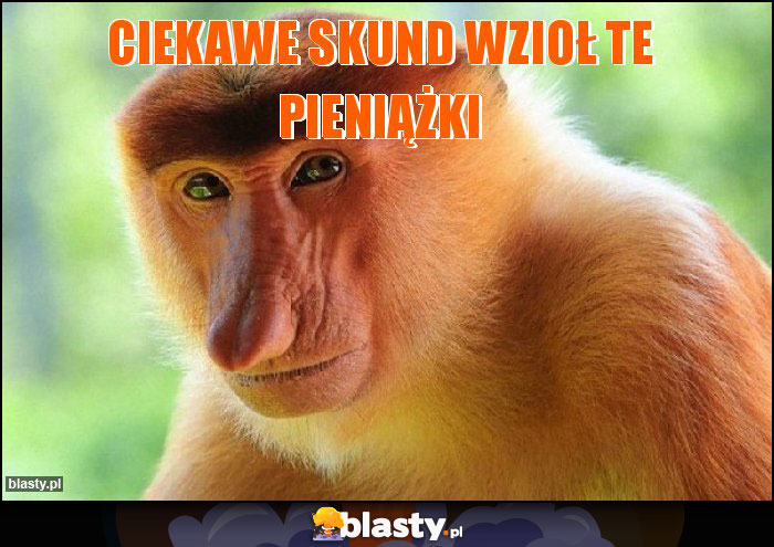 Ciekawe skund wzioł te pieniążki