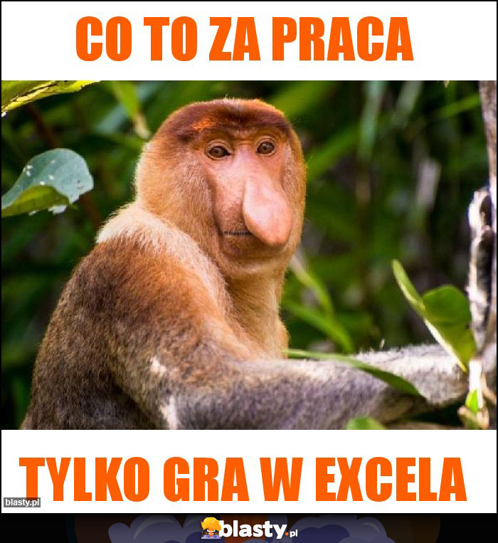 Co to za praca