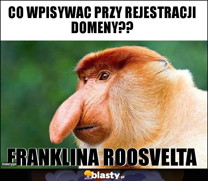 Co wpisywac przy rejestracji domeny??