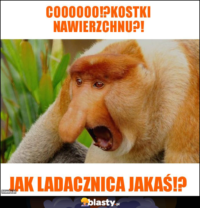 Coooooo!?kostki nawierzchnu?!