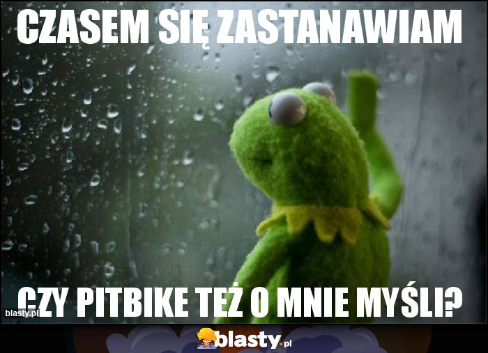 czasem się zastanawiam