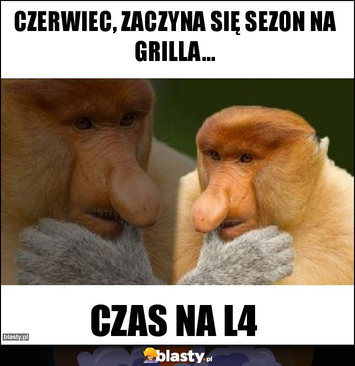 Czerwiec, zaczyna się sezon na grilla...