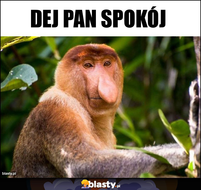 Dej Pan Spokój