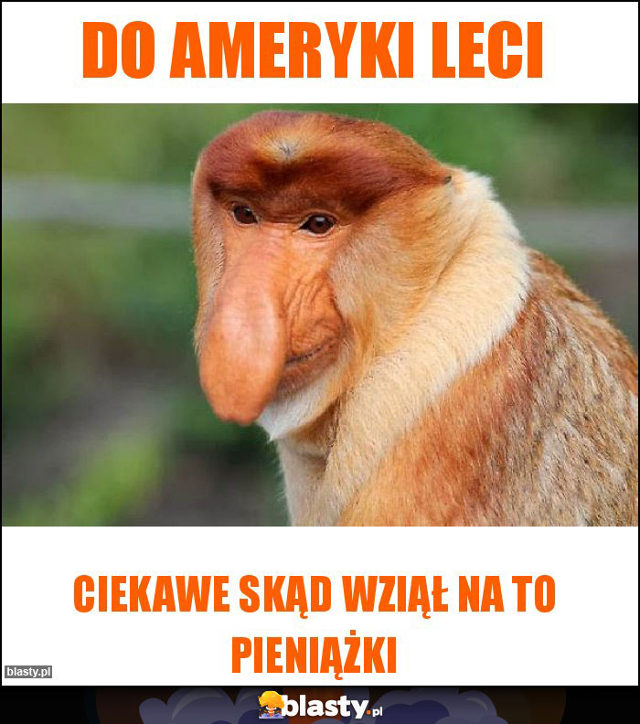 Do AMERYKI leci