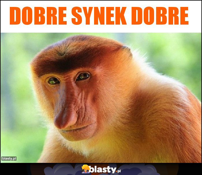 Dobre synek dobre