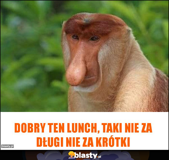 dobry ten lunch, taki nie za długi nie za krótki