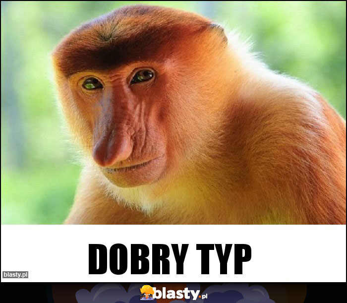 Dobry typ