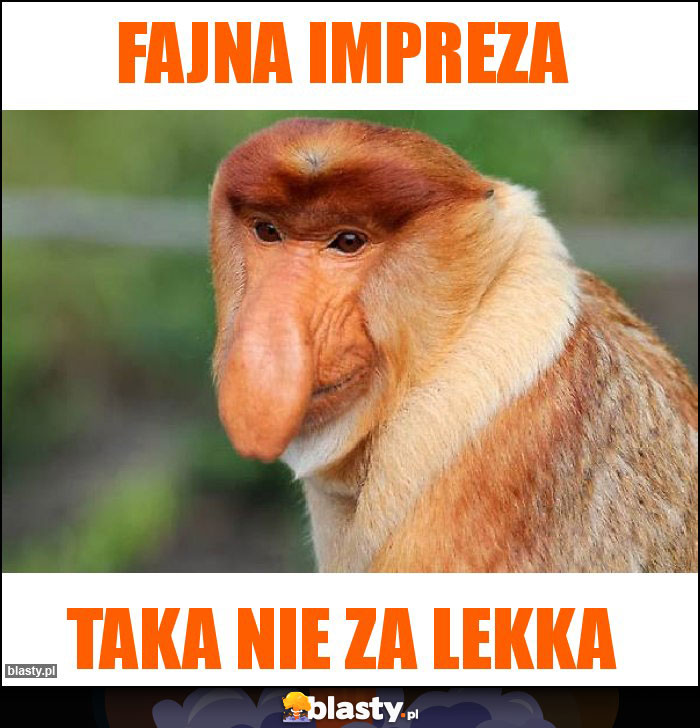 Fajna impreza