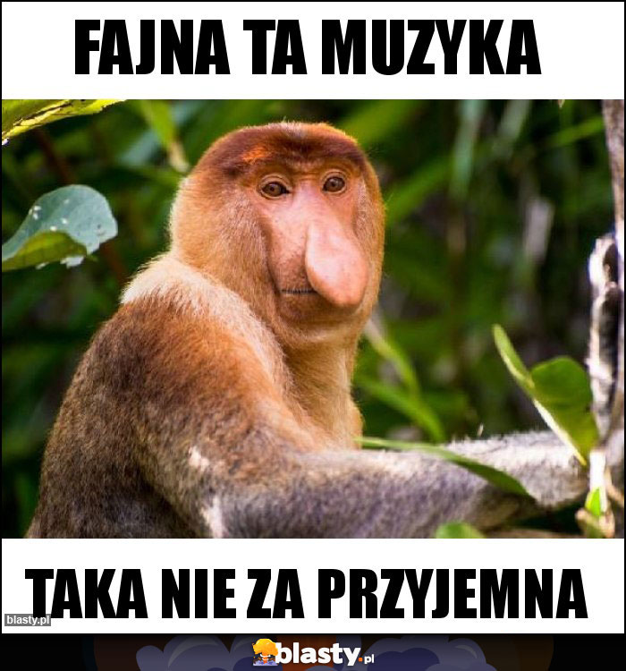 fajna ta muzyka