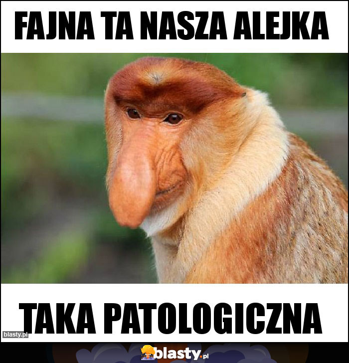 Fajna ta nasza alejka