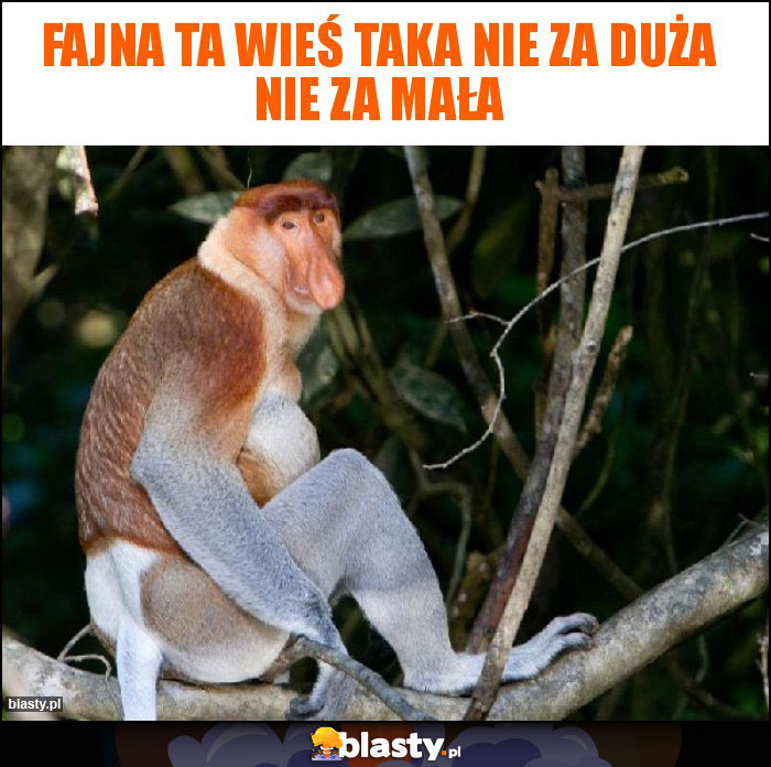 fajna ta wieś taka nie za duża nie za mała