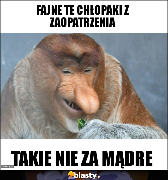 fajne te chłopaki z zaopatrzenia