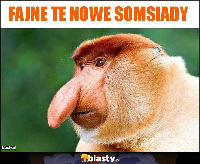 FAJNE TE NOWE SOMSIADY