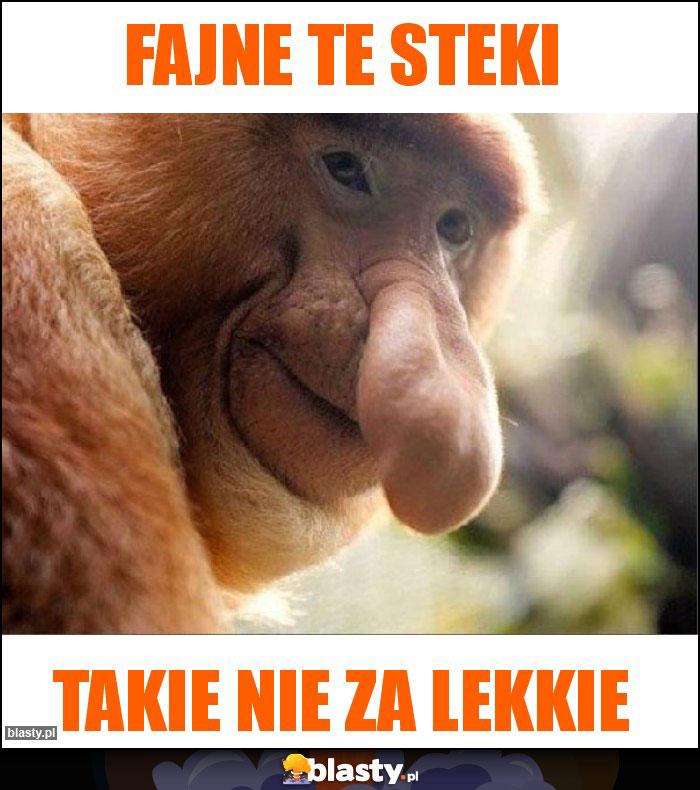 Fajne te steki